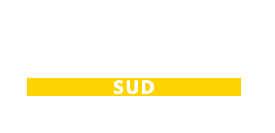 Logo Dierre Sud