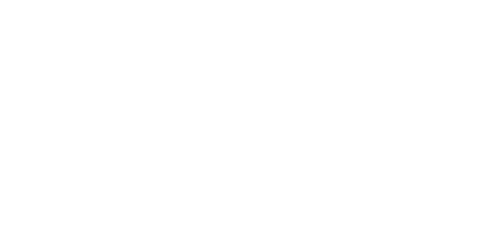 Logo Dierre