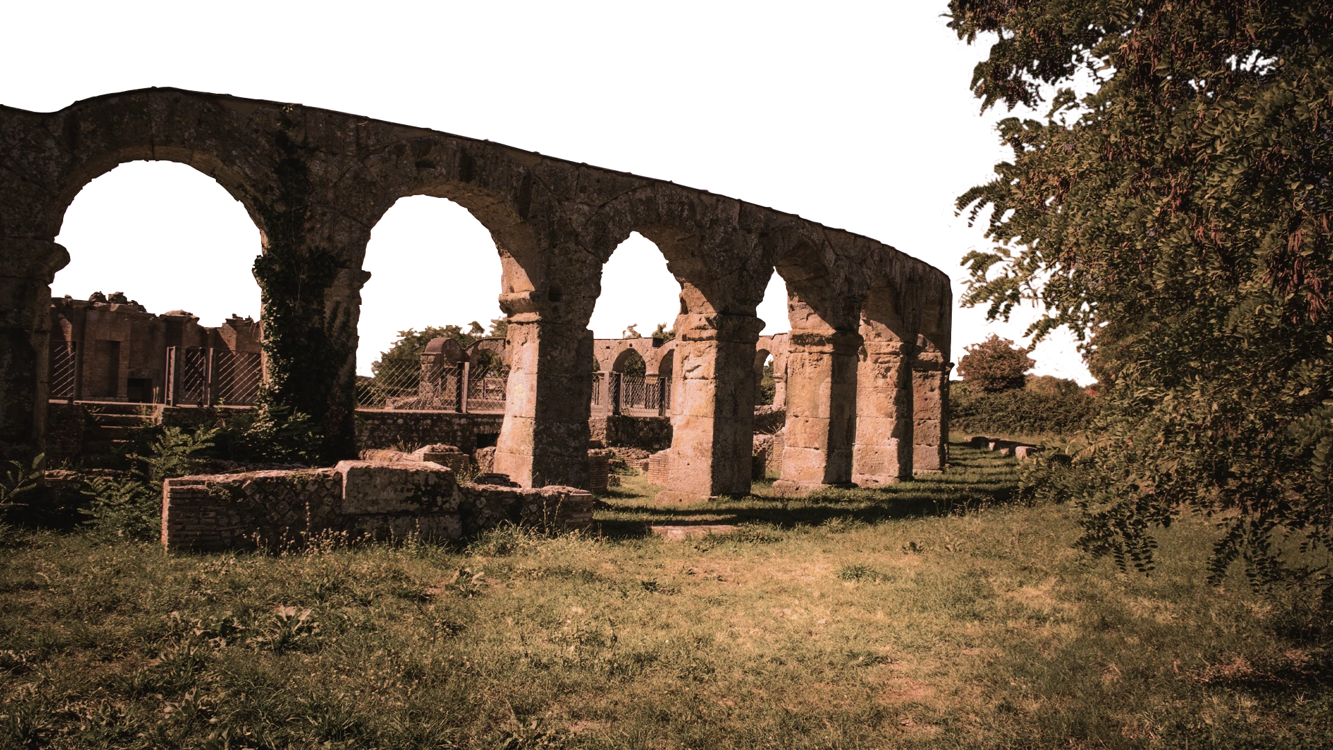 Arco