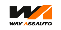 Way Assauto